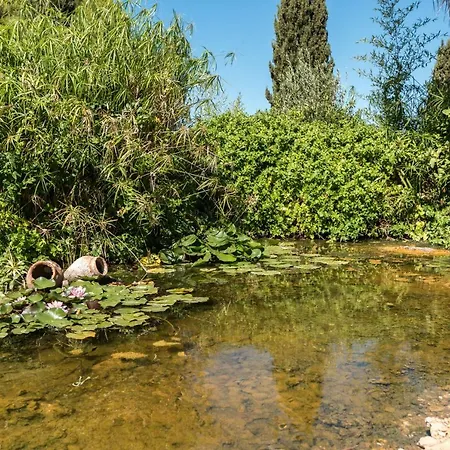 Villa Quinta Anita, Idyllic In Country House Style *
