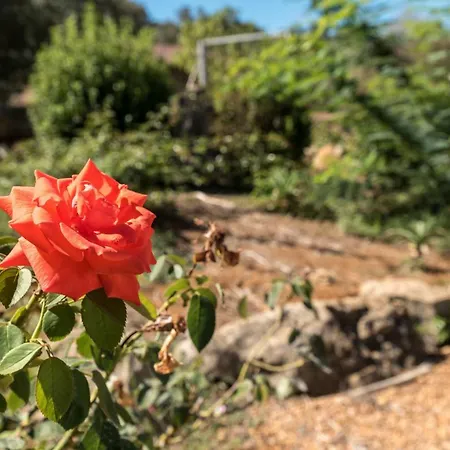 Quinta Anita, Idyllic In Country House Style Villa