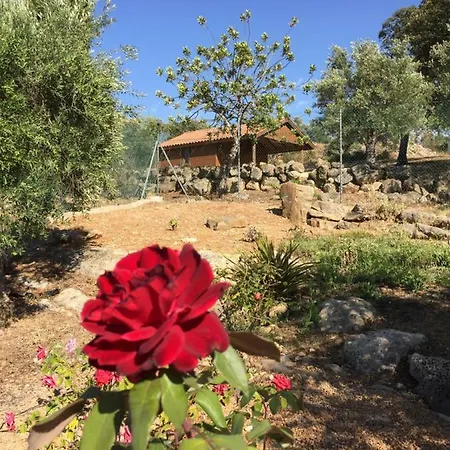 Quinta Anita, Idyllic In Country House Style Villa Loule